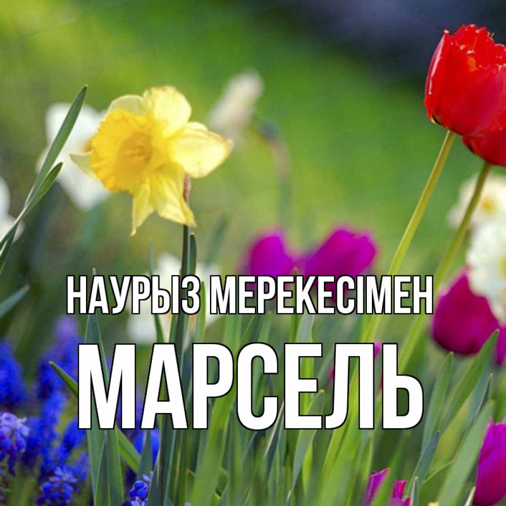 Күн сайын ашық хат с именем, Марсель Наурыз мерекесімен праздник весны наурыз 3 Онлайн тегін жүктеп алу тілектері бар керемет карта 