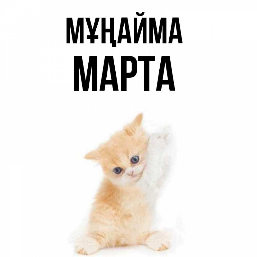 Күн сайын ашық хат с именем, Марта Мұңайма просящий кот Онлайн тегін жүктеп алу тілектері бар керемет карта 