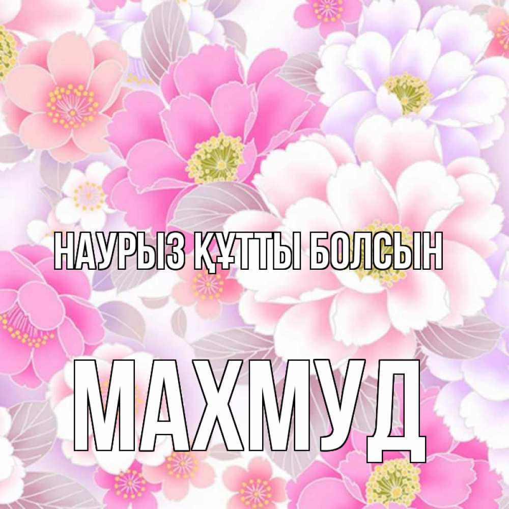 Күн сайын ашық хат с именем, Махмуд Наурыз құтты болсын для женщин Онлайн тегін жүктеп алу тілектері бар керемет карта 