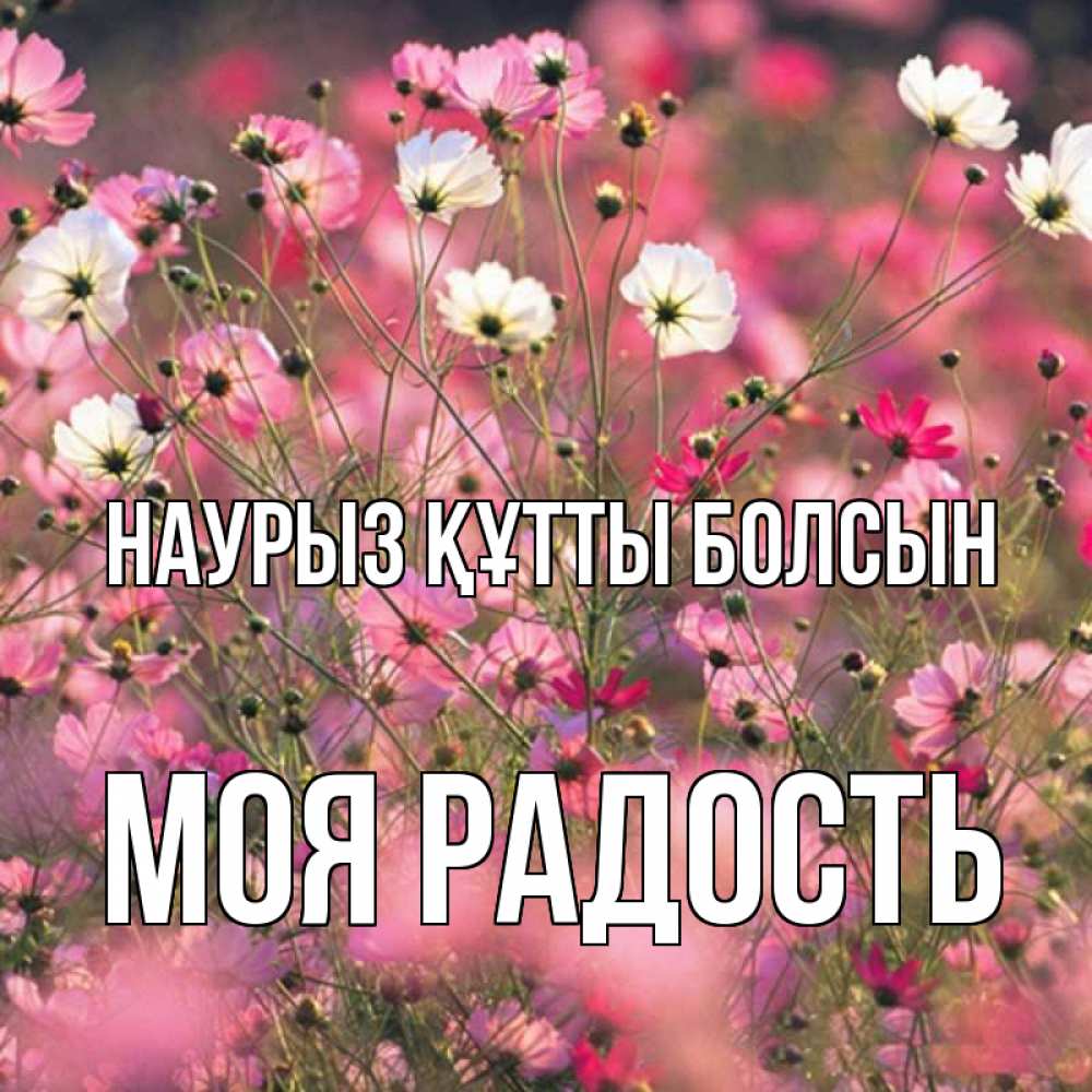 Күн сайын ашық хат с именем, Моя-радость Наурыз құтты болсын красиво 1 Онлайн тегін жүктеп алу тілектері бар керемет карта 