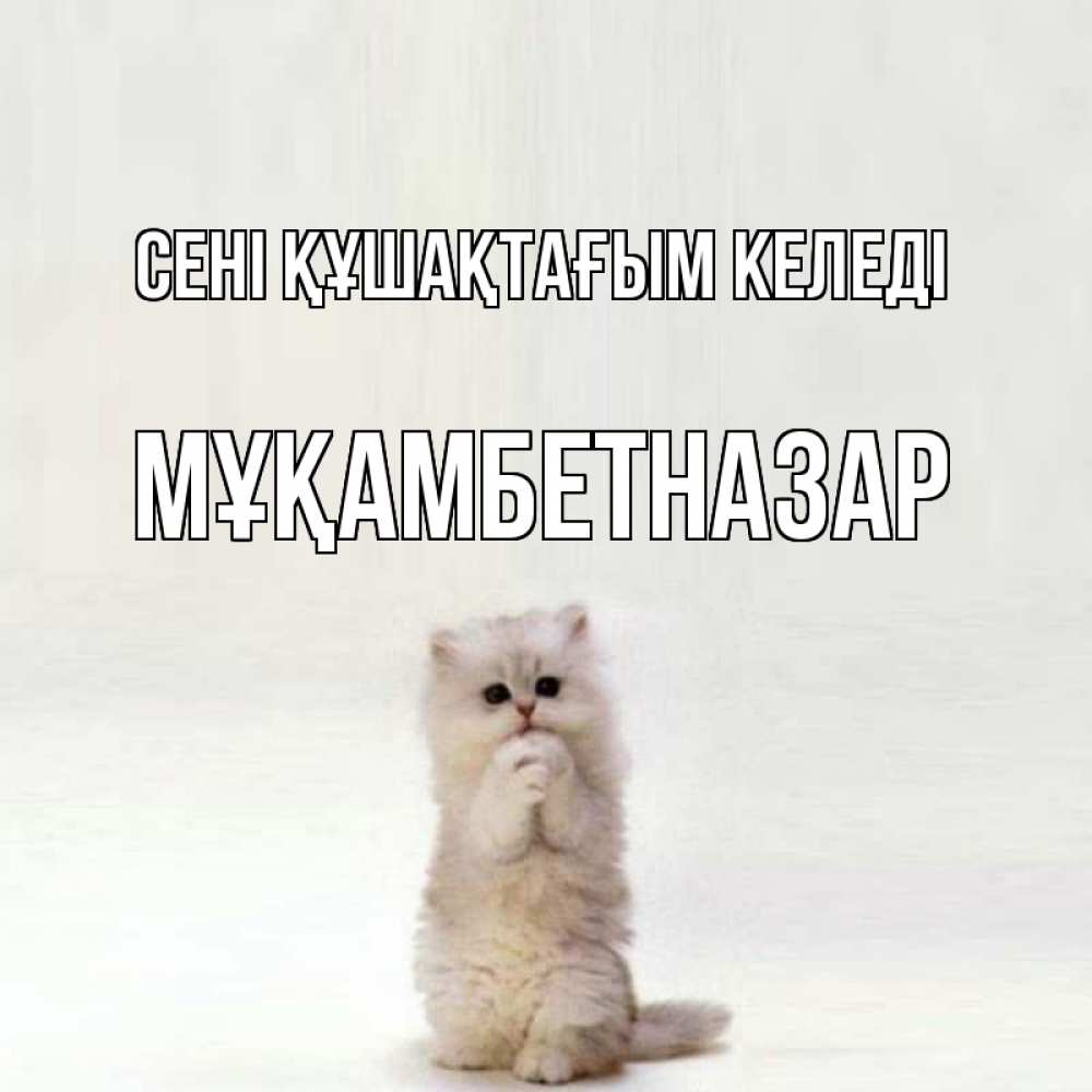 Күн сайын ашық хат с именем, Мұқамбетназар сені құшақтағым келеді открытки с креативными подписями Онлайн тегін жүктеп алу тілектері бар керемет карта 