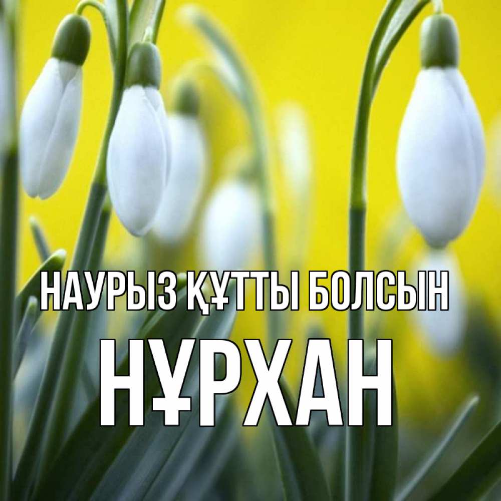 Күн сайын ашық хат с именем, НҰРХАН Наурыз құтты болсын весенние цветы Онлайн тегін жүктеп алу тілектері бар керемет карта 