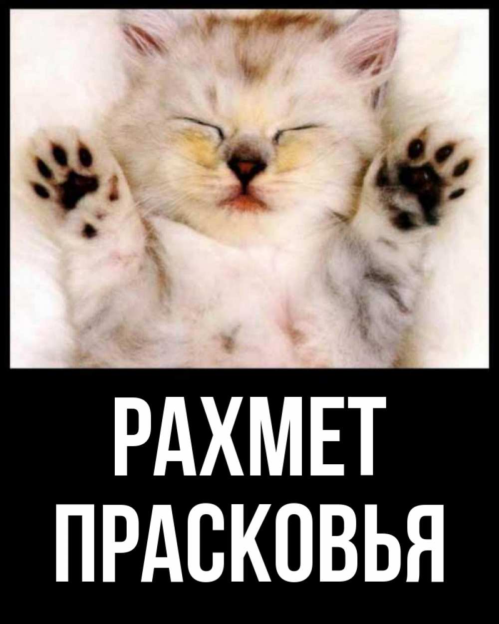 Күн сайын ашық хат с именем, Прасковья рахмет маленький котенок Онлайн тегін жүктеп алу тілектері бар керемет карта 