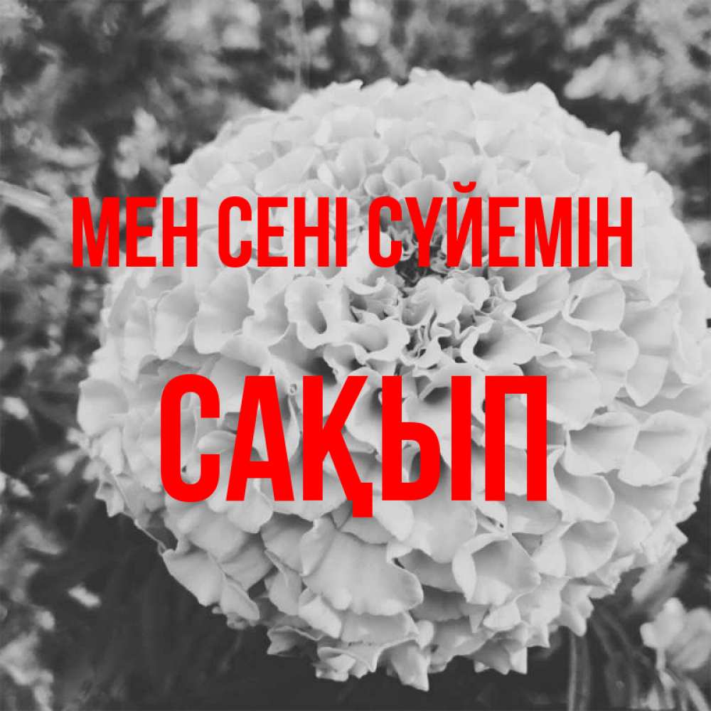 Күн сайын ашық хат с именем, САҚЫП Мен сені сүйемін подпись Онлайн тегін жүктеп алу тілектері бар керемет карта 
