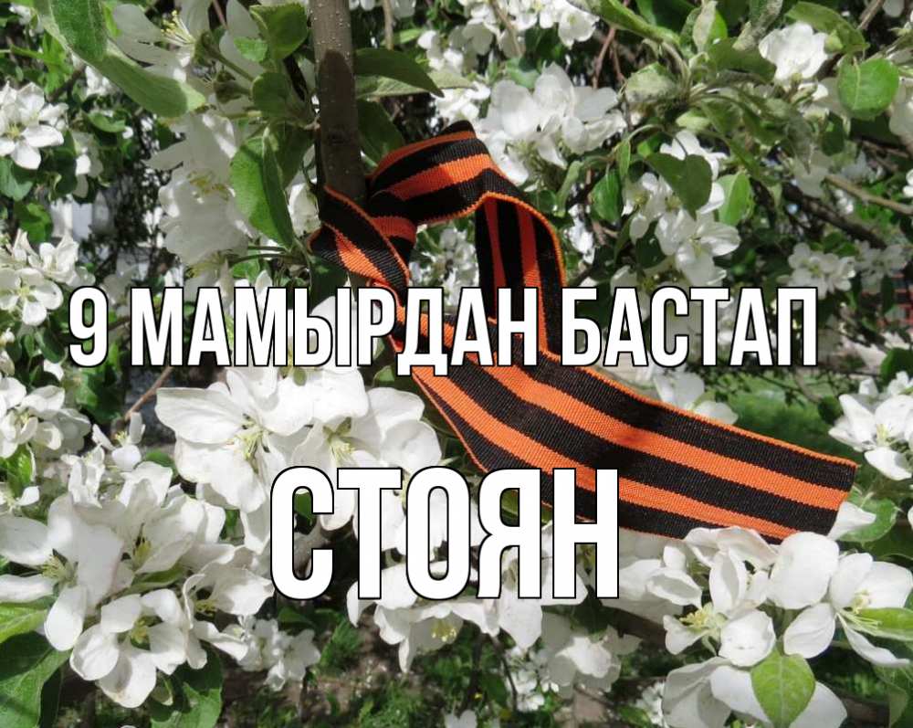 Күн сайын ашық хат с именем, Стоян 9 мамырдан бастап 9 мая Онлайн тегін жүктеп алу тілектері бар керемет карта 