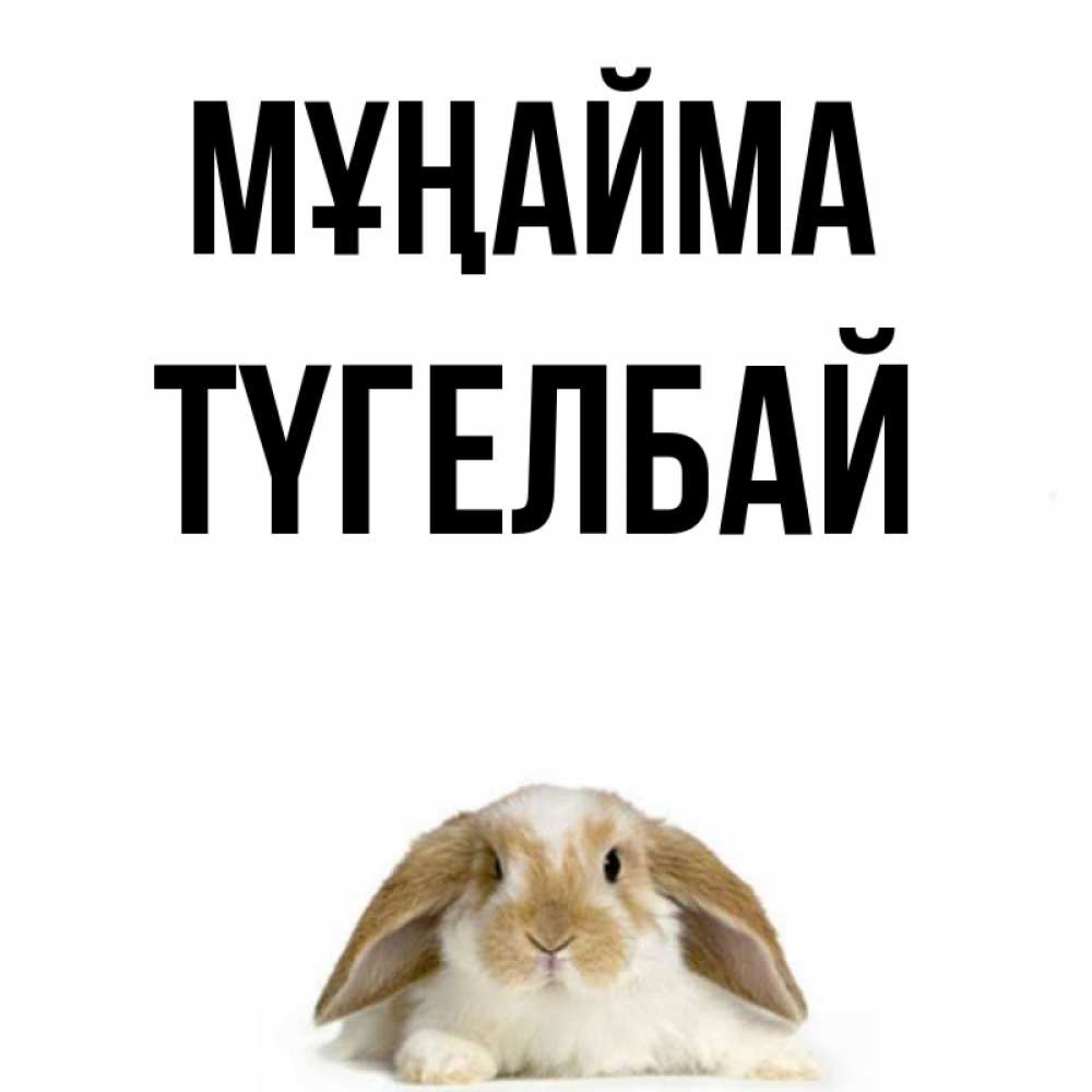 Күн сайын ашық хат с именем, ТҮГЕЛБАЙ Мұңайма коричнево белый заяц с большими ушками Онлайн тегін жүктеп алу тілектері бар керемет карта 