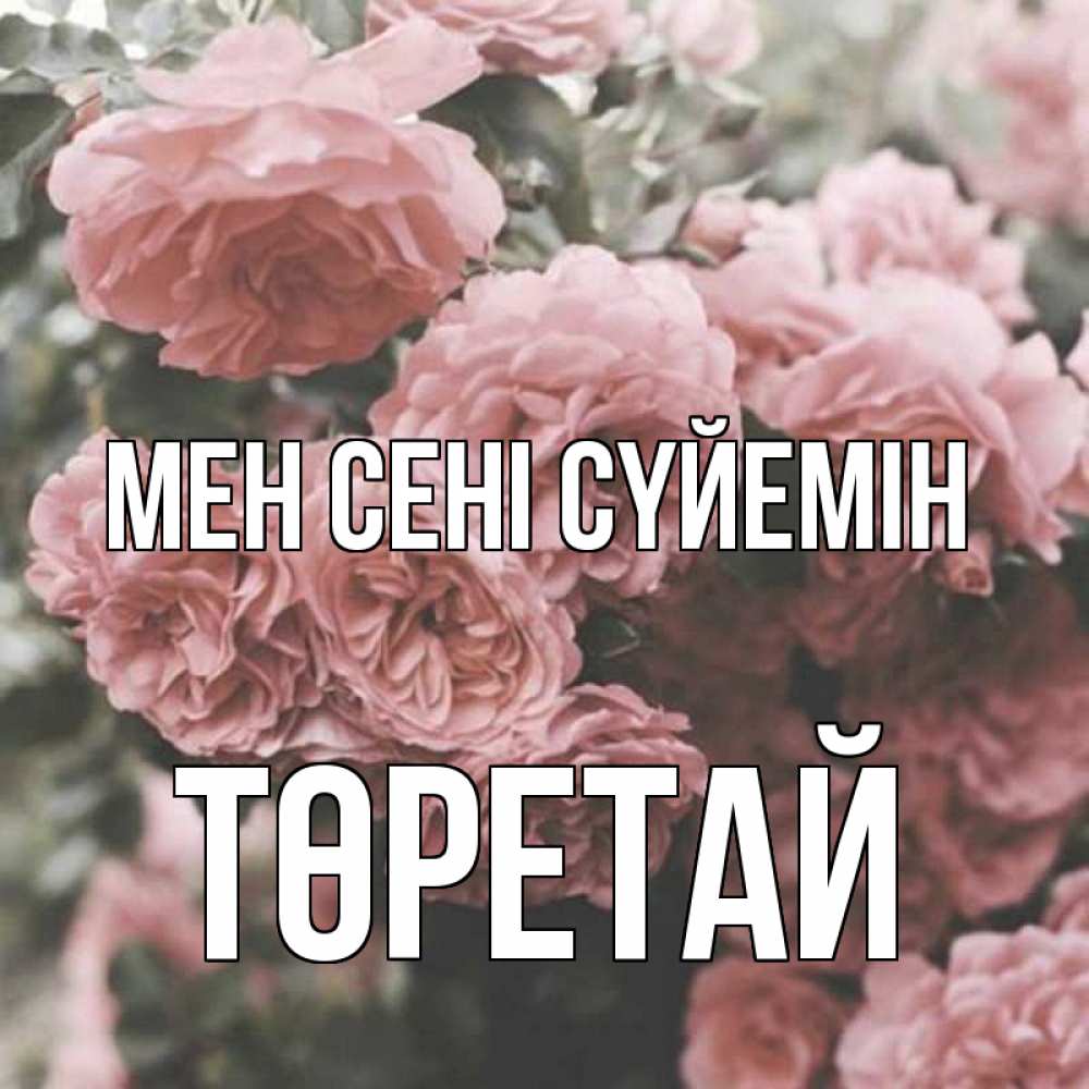 Күн сайын ашық хат с именем, Төретай Мен сені сүйемін розы 3 Онлайн тегін жүктеп алу тілектері бар керемет карта 