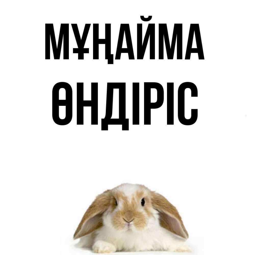 Күн сайын ашық хат с именем, ӨНДІРІС Мұңайма коричнево белый заяц с большими ушками Онлайн тегін жүктеп алу тілектері бар керемет карта 