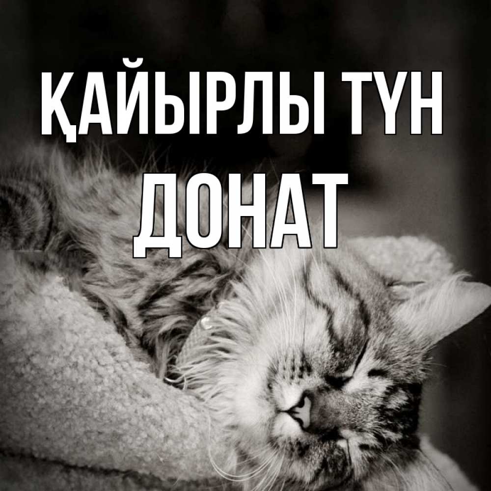 Күн сайын ашық хат с именем, Донат Қайырлы түн котярик пушистый Онлайн тегін жүктеп алу тілектері бар керемет карта 