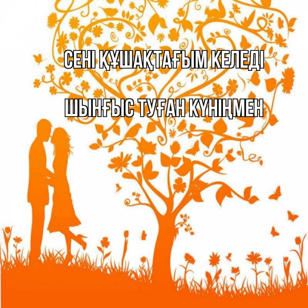 Картинка сені құшақтағым келеді, ШЫНҒЫС! ТУҒАН КҮНІҢМЕН!