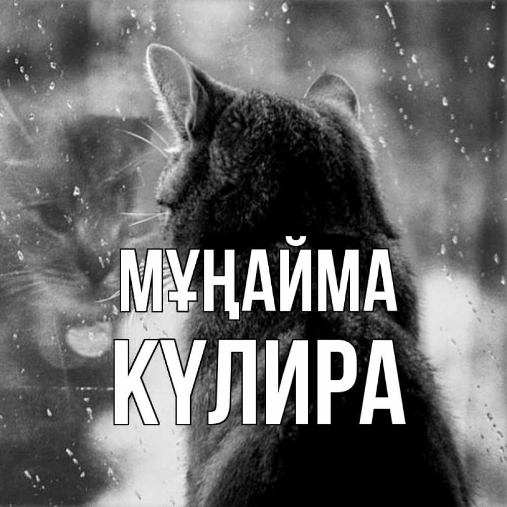 Күн сайын ашық хат с именем, КҮЛИРА Мұңайма отражение кота 1 Онлайн тегін жүктеп алу тілектері бар керемет карта 