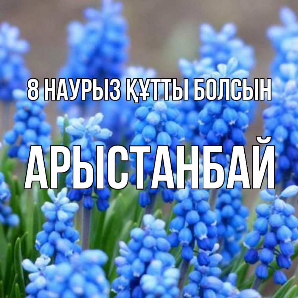 Күн сайын ашық хат с именем, Арыстанбай 8 наурыз құтты болсын Поздравительная открытка для женщин с цветами на праздничную дату Онлайн тегін жүктеп алу тілектері бар керемет карта 