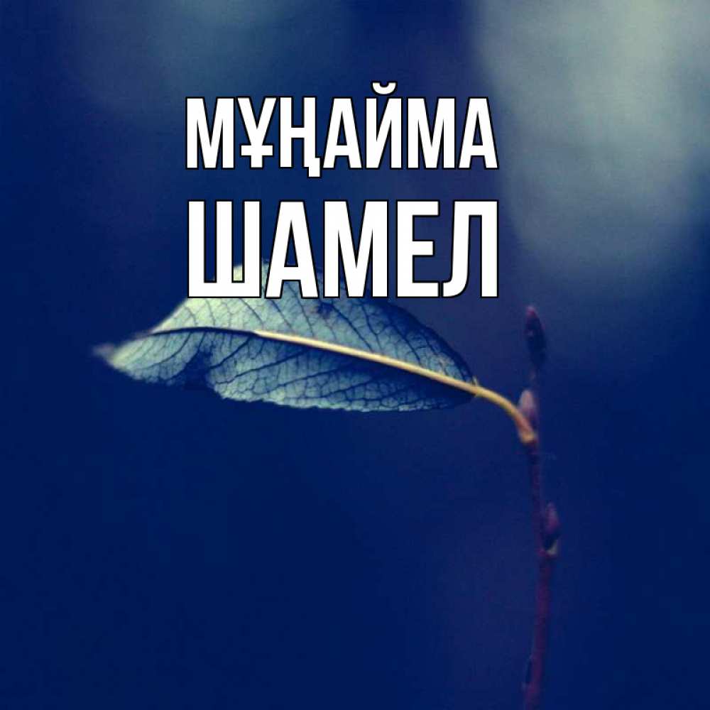 Күн сайын ашық хат с именем, ШАМЕЛ Мұңайма растение Онлайн тегін жүктеп алу тілектері бар керемет карта 