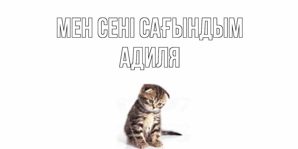 Күн сайын ашық хат с именем, Адиля Мен сені сағындым кот Онлайн тегін жүктеп алу тілектері бар керемет карта 