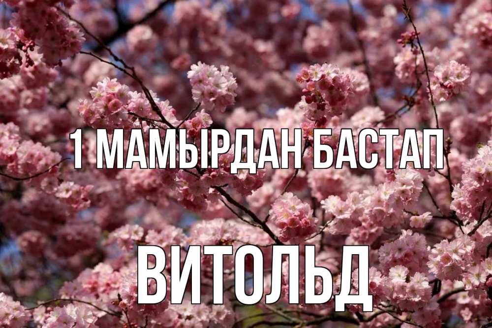Күн сайын ашық хат с именем, Витольд 1 мамырдан бастап С 1 мая Онлайн тегін жүктеп алу тілектері бар керемет карта 