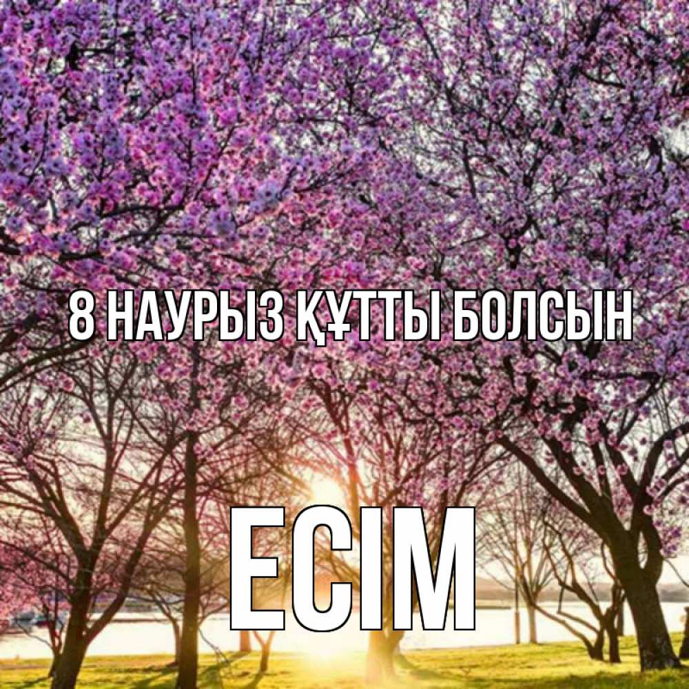Күн сайын ашық хат с именем, Есім 8 наурыз құтты болсын международный женский день Онлайн тегін жүктеп алу тілектері бар керемет карта 
