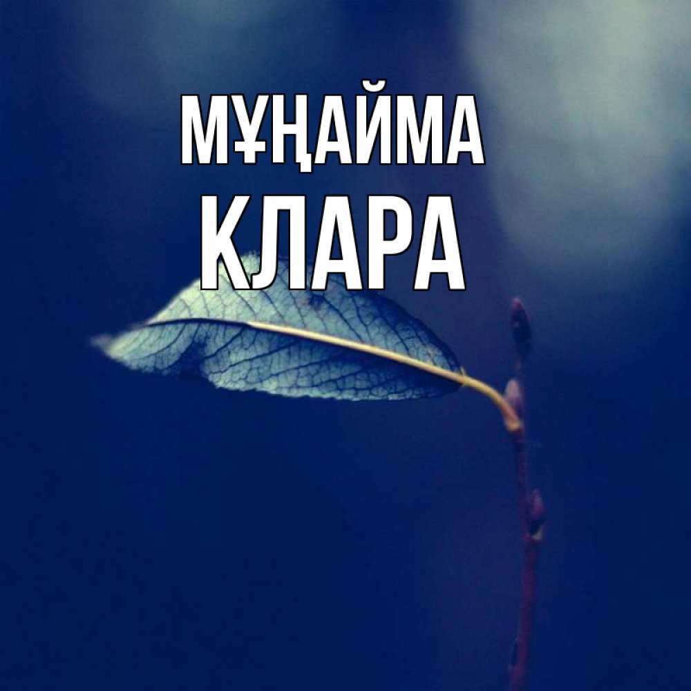 Күн сайын ашық хат с именем, КЛАРА Мұңайма растение Онлайн тегін жүктеп алу тілектері бар керемет карта 