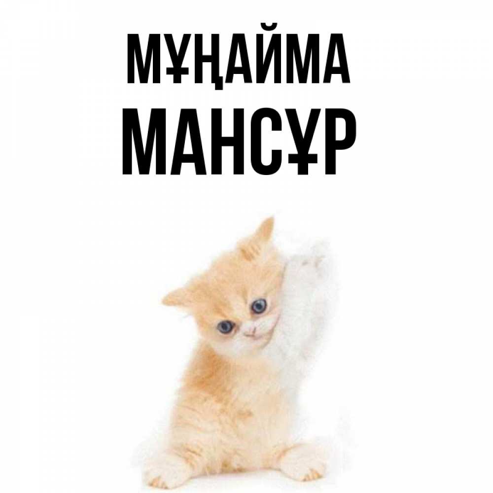 Күн сайын ашық хат с именем, МАНСҰР Мұңайма просящий кот Онлайн тегін жүктеп алу тілектері бар керемет карта 