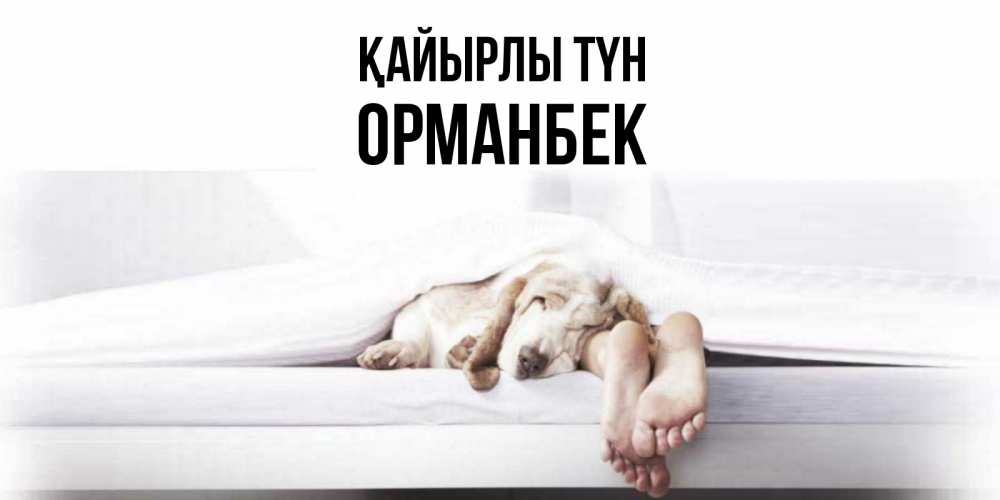 Күн сайын ашық хат с именем, ОРМАНБЕК Қайырлы түн кровать с собакой пожелание сладких снов и спокойной ночи Онлайн тегін жүктеп алу тілектері бар керемет карта 