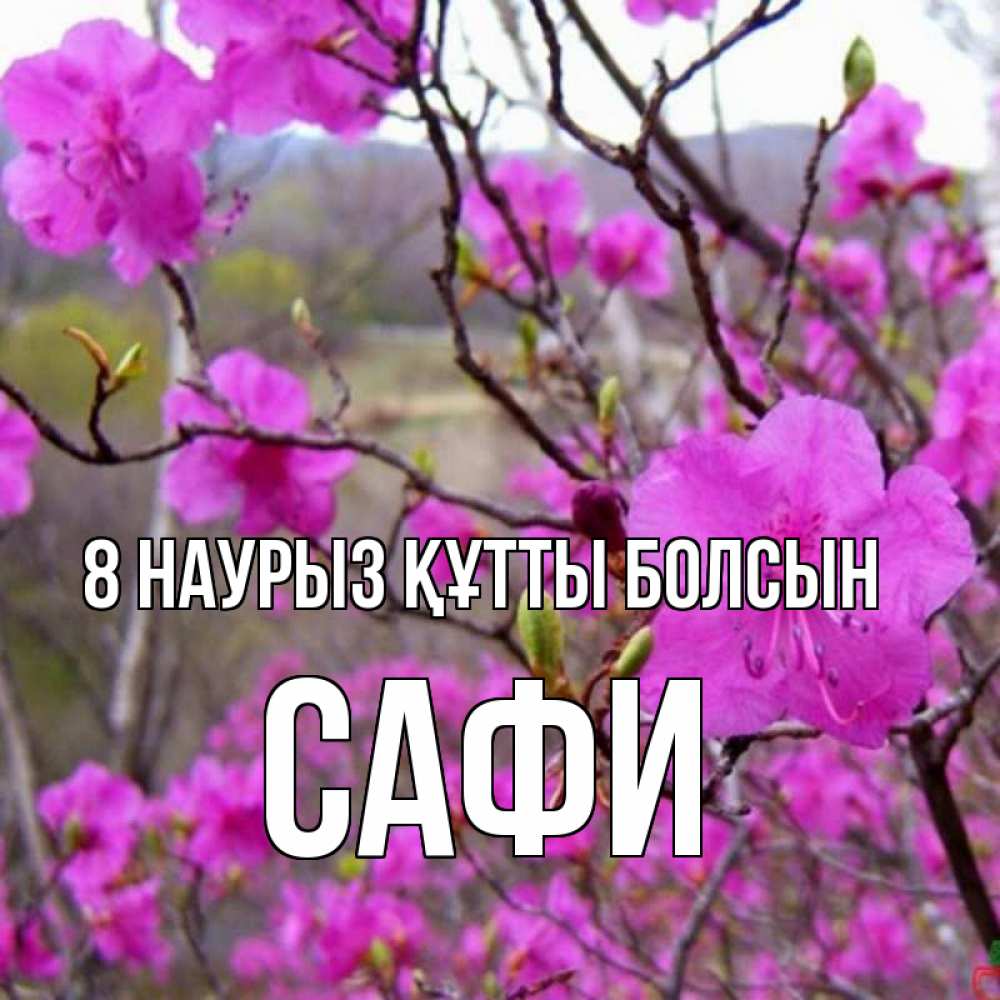 Күн сайын ашық хат с именем, САФИ 8 наурыз құтты болсын международный женский день Онлайн тегін жүктеп алу тілектері бар керемет карта 
