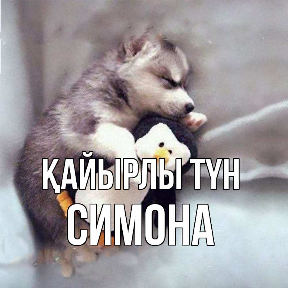 Күн сайын ашық хат с именем, Симона Қайырлы түн обнимашки щенка и пингвина Онлайн тегін жүктеп алу тілектері бар керемет карта 