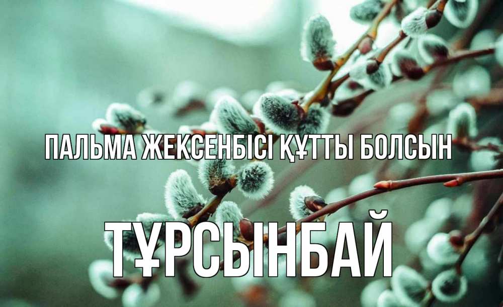 Күн сайын ашық хат с именем, ТҰРСЫНБАЙ Пальма жексенбісі құтты болсын верба Онлайн тегін жүктеп алу тілектері бар керемет карта 
