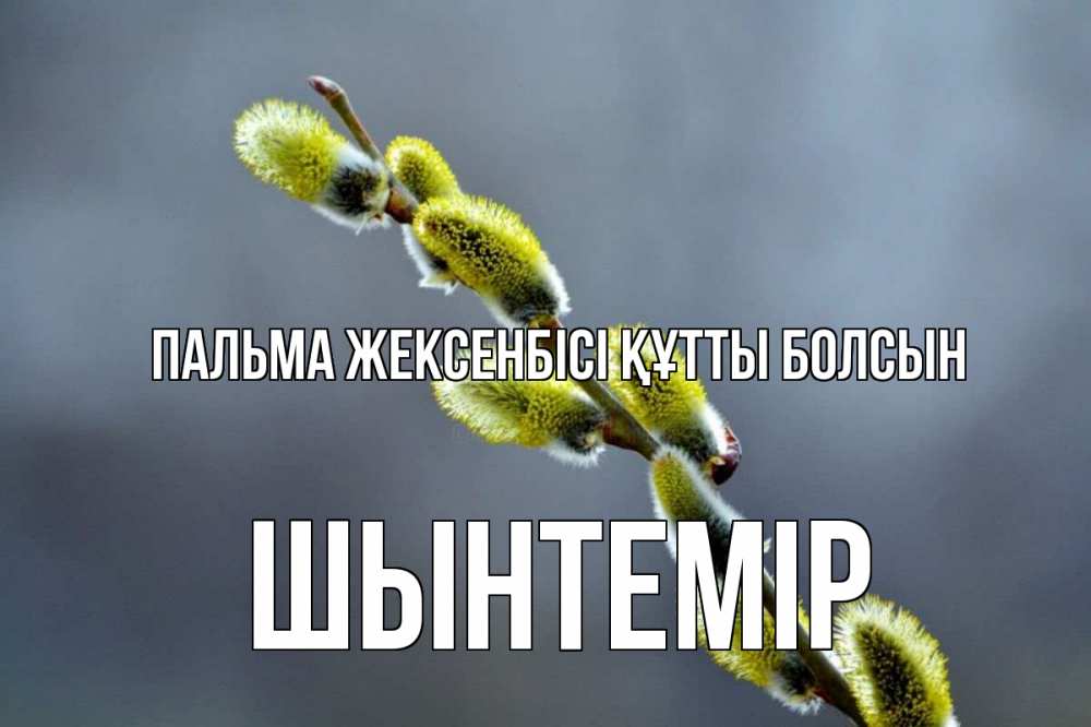 Күн сайын ашық хат с именем, ШЫНТЕМІР Пальма жексенбісі құтты болсын верба Онлайн тегін жүктеп алу тілектері бар керемет карта 