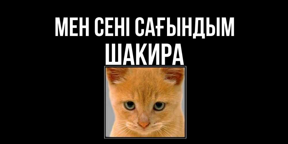 Күн сайын ашық хат с именем, Шакира Мен сені сағындым открытки рыжий котенок скучает по тебе Онлайн тегін жүктеп алу тілектері бар керемет карта 