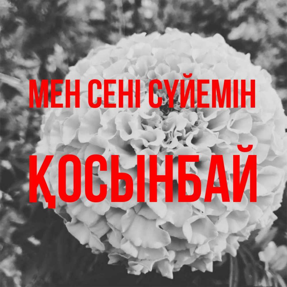 Күн сайын ашық хат с именем, ҚОСЫНБАЙ Мен сені сүйемін подпись Онлайн тегін жүктеп алу тілектері бар керемет карта 