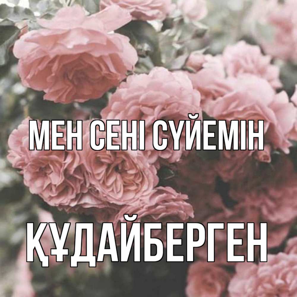 Күн сайын ашық хат с именем, ҚҰДАЙБЕРГЕН Мен сені сүйемін розы 3 Онлайн тегін жүктеп алу тілектері бар керемет карта 
