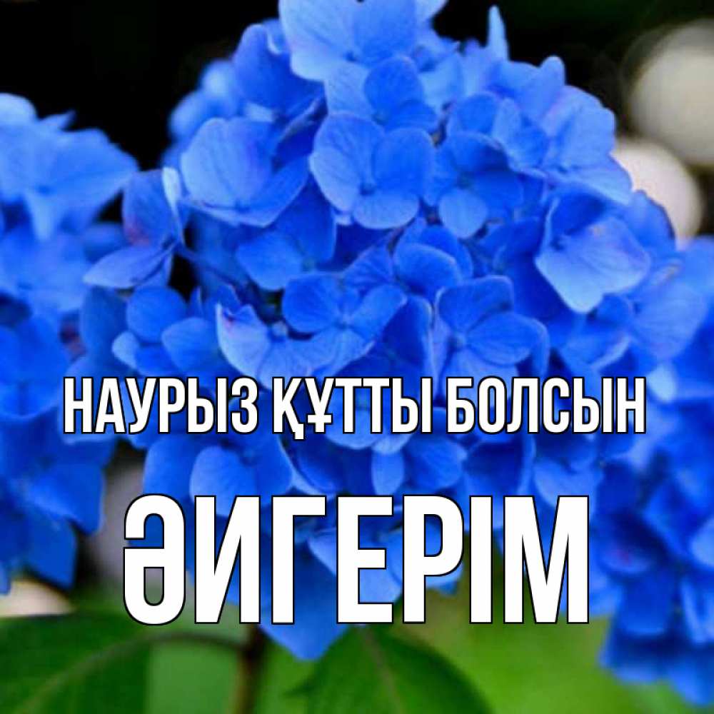 Күн сайын ашық хат с именем, ӘИГЕРІМ Наурыз құтты болсын синие цветы Онлайн тегін жүктеп алу тілектері бар керемет карта 