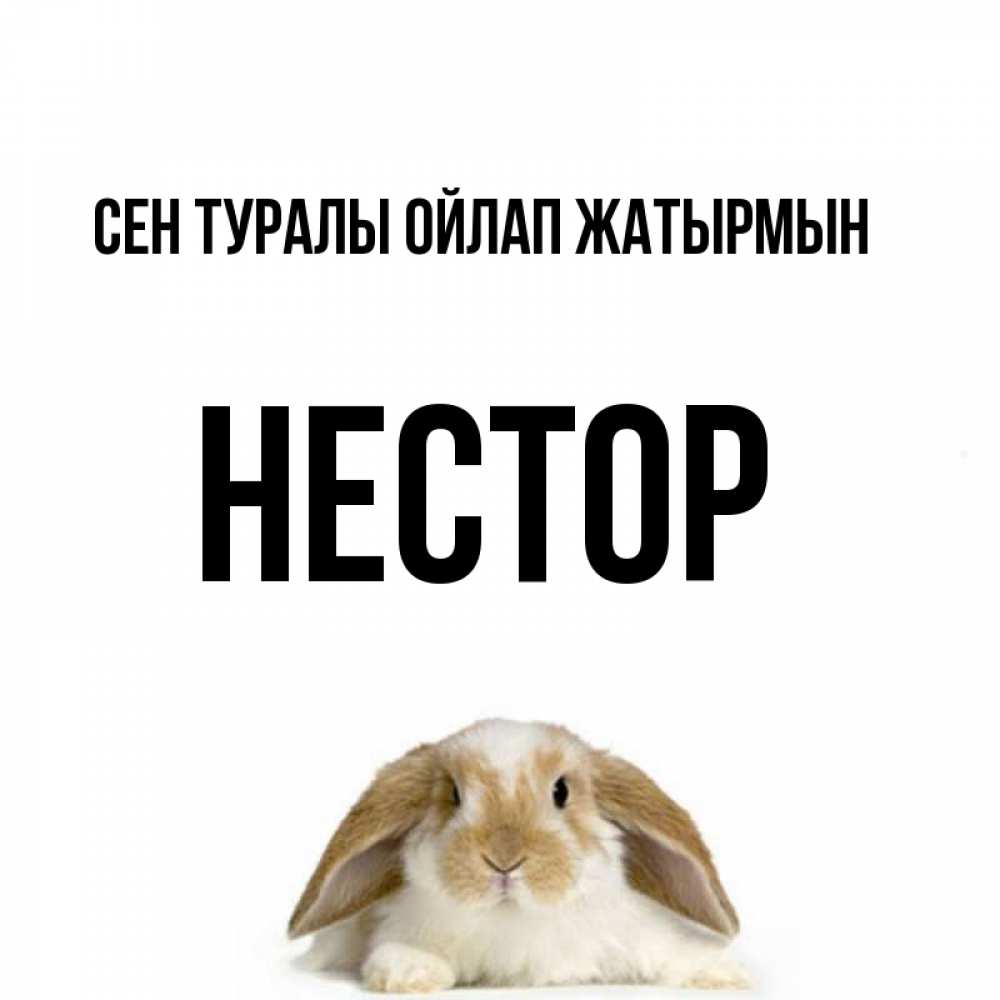 Күн сайын ашық хат с именем, Нестор Сен туралы ойлап жатырмын подписать своими руками онлайн Онлайн тегін жүктеп алу тілектері бар керемет карта 