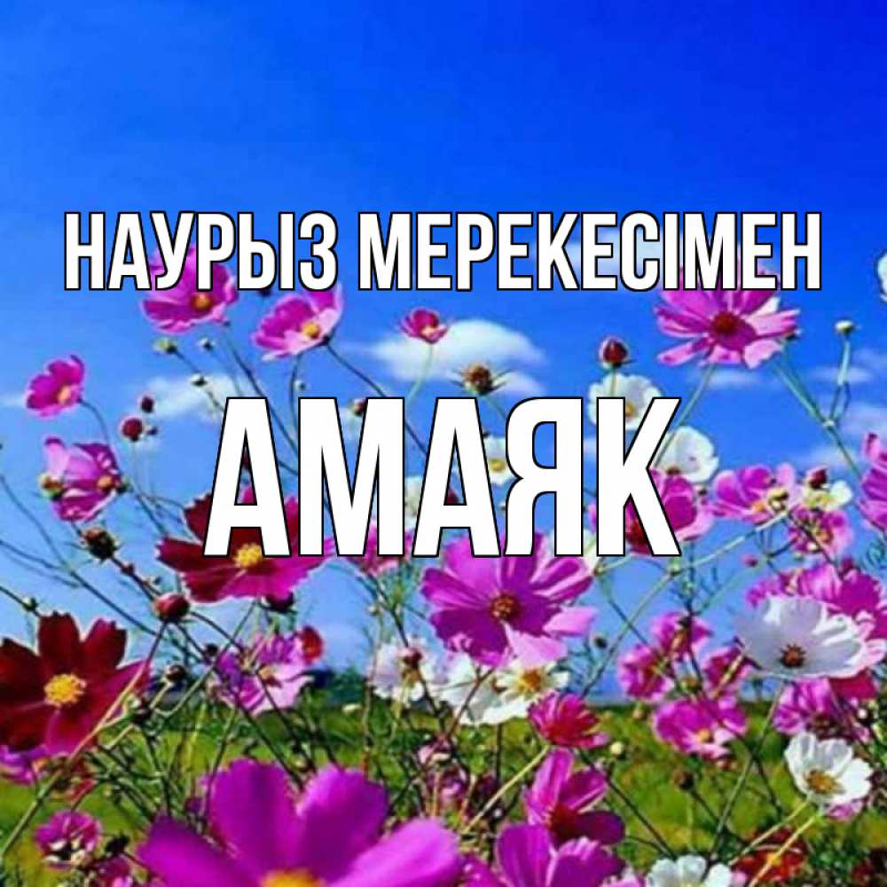 Күн сайын ашық хат с именем, Амаяк Наурыз мерекесімен цветы Онлайн тегін жүктеп алу тілектері бар керемет карта 