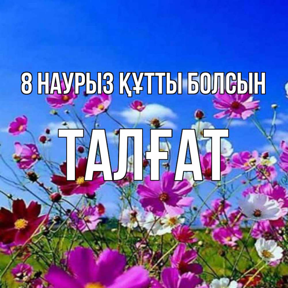 Күн сайын ашық хат с именем, ТАЛҒАТ 8 наурыз құтты болсын цветы Онлайн тегін жүктеп алу тілектері бар керемет карта 