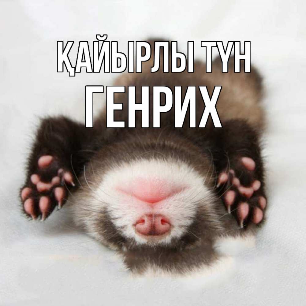 Күн сайын ашық хат с именем, Генрих Қайырлы түн зверек Онлайн тегін жүктеп алу тілектері бар керемет карта 