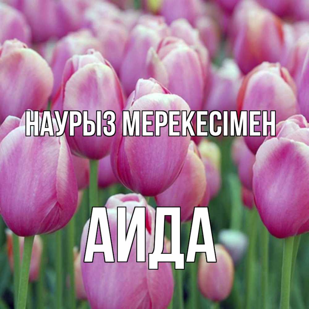 Күн сайын ашық хат с именем, АИДА Наурыз мерекесімен праздник весны наурыз 69 Онлайн тегін жүктеп алу тілектері бар керемет карта 