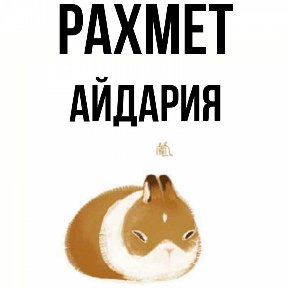 Күн сайын ашық хат с именем, АЙДАРИЯ рахмет коричнево белый домашний питомец Онлайн тегін жүктеп алу тілектері бар керемет карта 