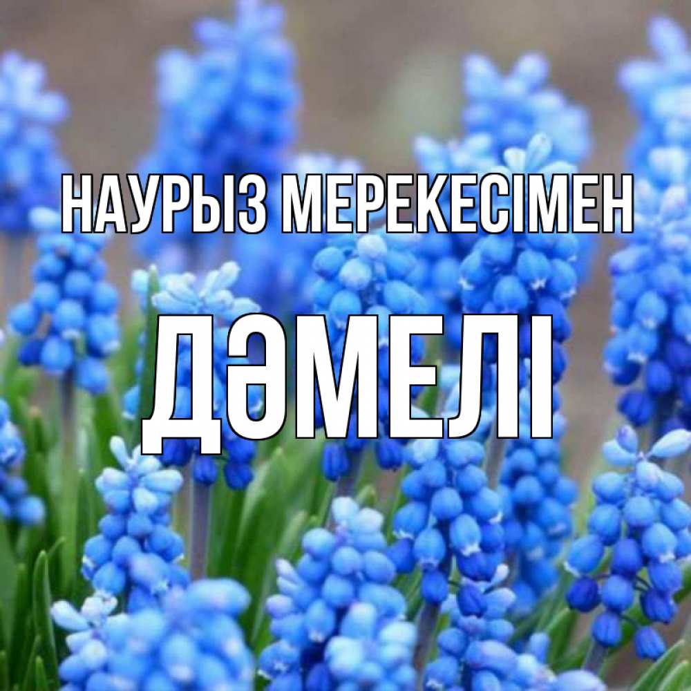 Күн сайын ашық хат с именем, ДӘМЕЛІ Наурыз мерекесімен Поздравительная открытка для женщин с цветами на праздничную дату Онлайн тегін жүктеп алу тілектері бар керемет карта 
