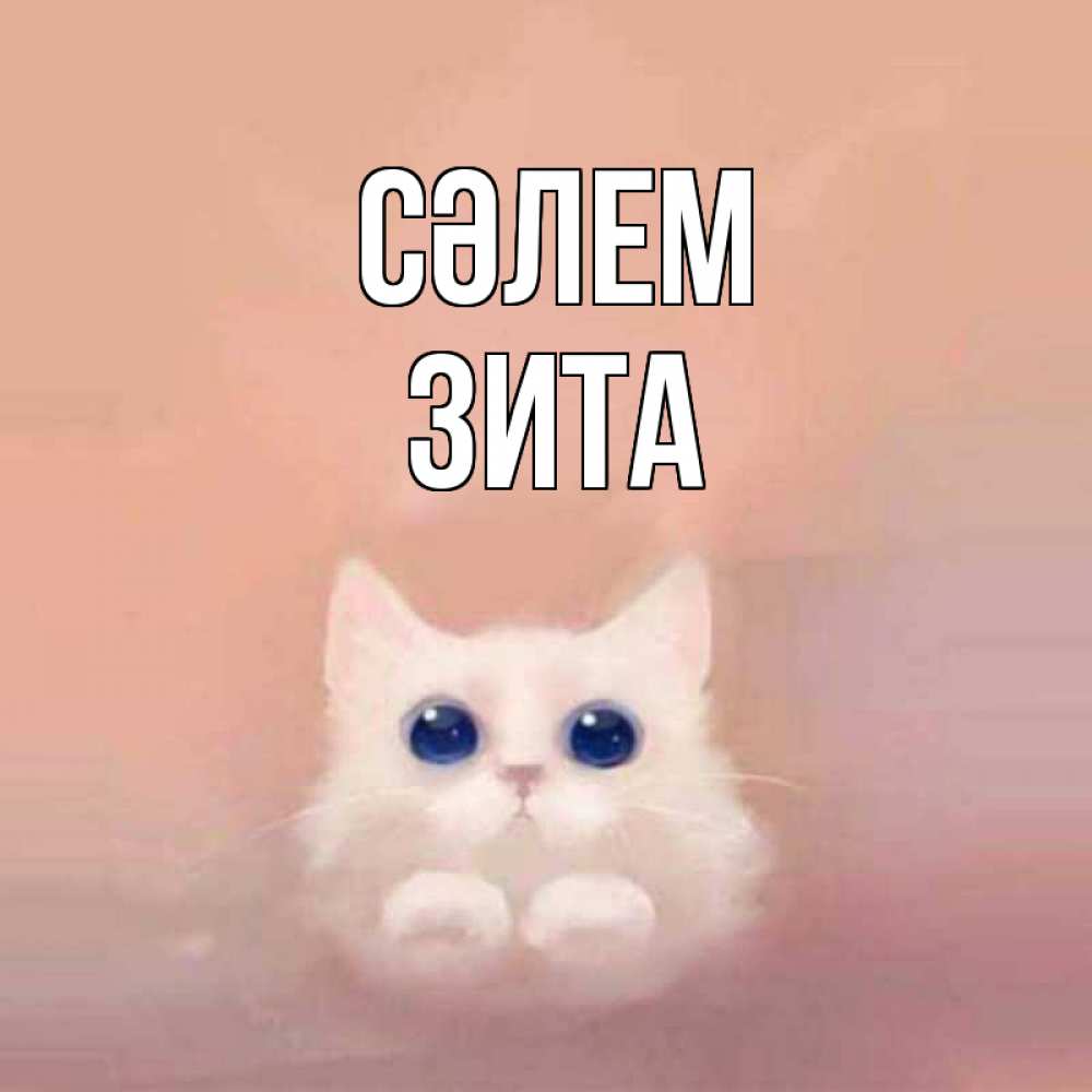 Күн сайын ашық хат с именем, Зита Сәлем котик белый в полете Онлайн тегін жүктеп алу тілектері бар керемет карта 