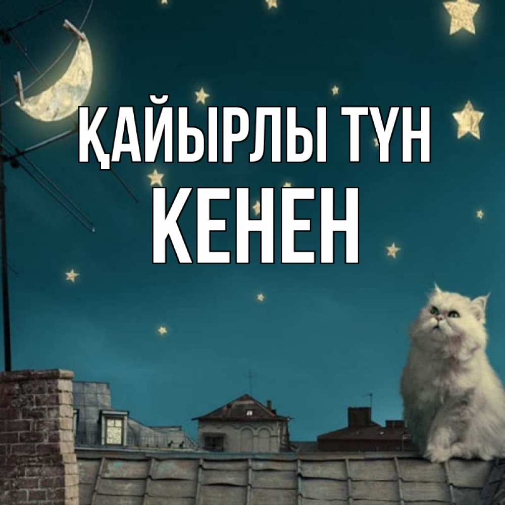 Күн сайын ашық хат с именем, Кенен Қайырлы түн белый кот сидит на крыше Онлайн тегін жүктеп алу тілектері бар керемет карта 