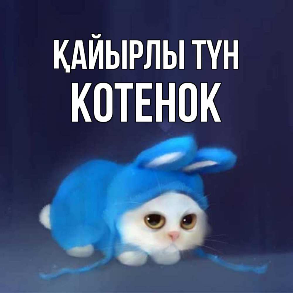 Күн сайын ашық хат с именем, Котенок Қайырлы түн кот в голубом костюме кролика с ушками Онлайн тегін жүктеп алу тілектері бар керемет карта 