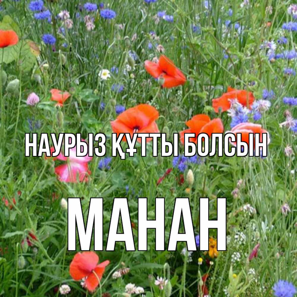 Күн сайын ашық хат с именем, МАНАН Наурыз құтты болсын наурыз  4 Онлайн тегін жүктеп алу тілектері бар керемет карта 