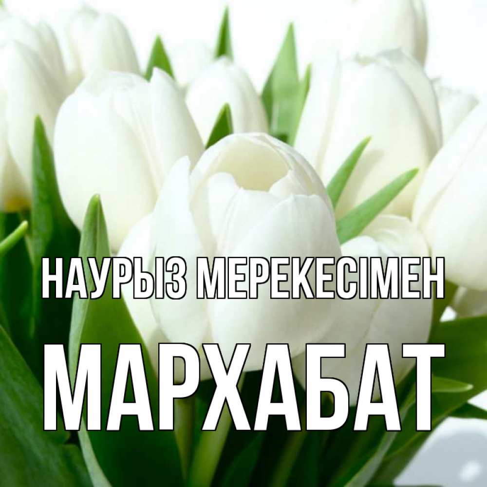 Күн сайын ашық хат с именем, МАРХАБАТ Наурыз мерекесімен цветы Онлайн тегін жүктеп алу тілектері бар керемет карта 