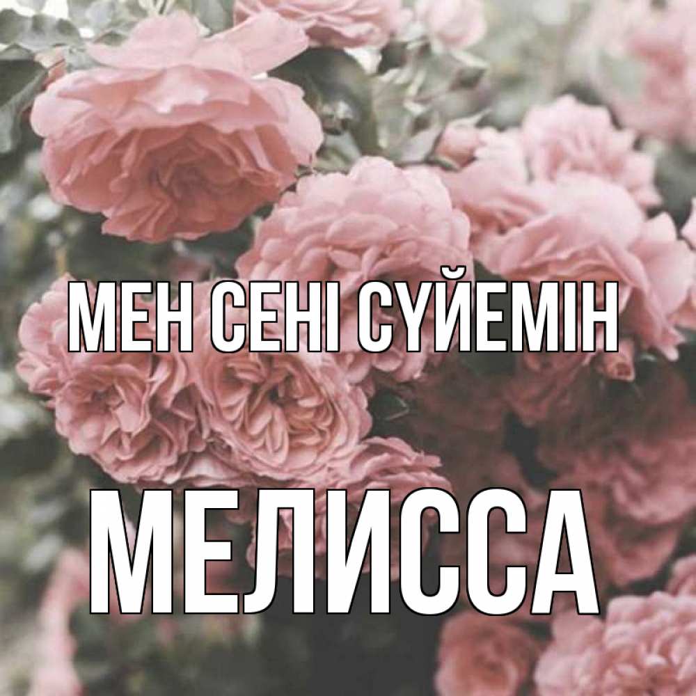 Күн сайын ашық хат с именем, Мелисса Мен сені сүйемін розы 3 Онлайн тегін жүктеп алу тілектері бар керемет карта 