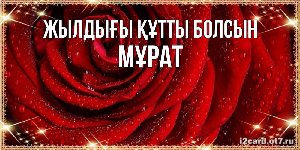 Күн сайын ашық хат с именем, МҰРАТ Жылдығы құтты болсын роса на розе блестящая в лучах солнца Онлайн тегін жүктеп алу тілектері бар керемет карта 