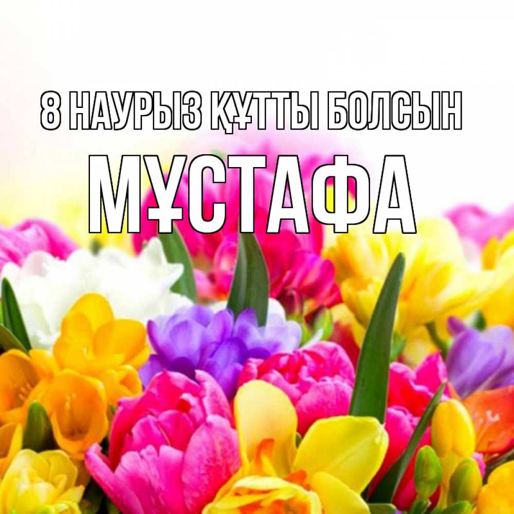 Күн сайын ашық хат с именем, МҰСТАФА 8 наурыз құтты болсын тюльпаны Онлайн тегін жүктеп алу тілектері бар керемет карта 