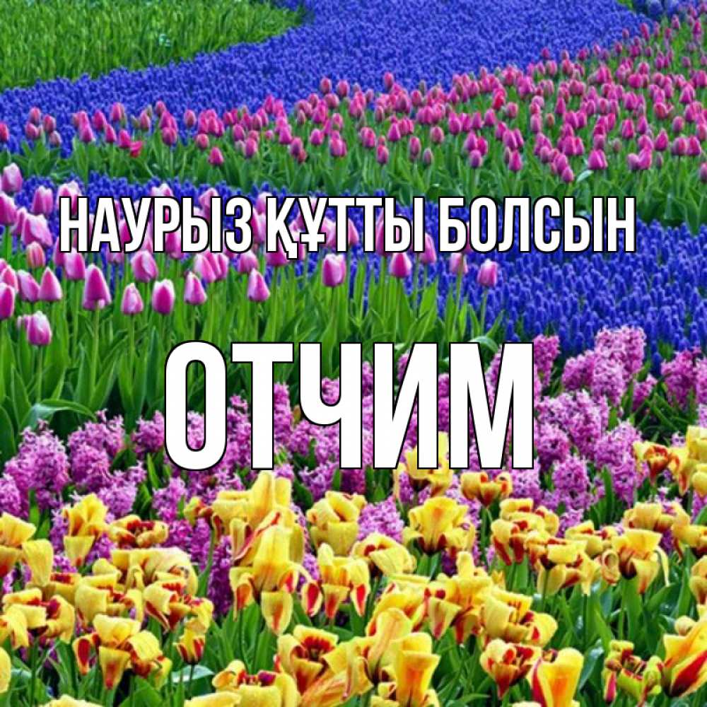 Күн сайын ашық хат с именем, Отчим Наурыз құтты болсын цветы Онлайн тегін жүктеп алу тілектері бар керемет карта 