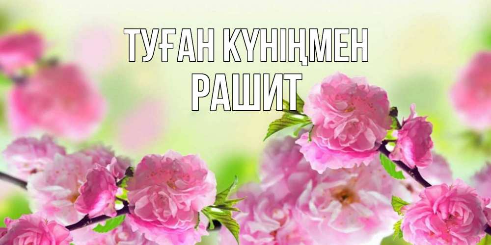 Күн сайын ашық хат с именем, РАШИТ Туған күніңмен веточки с цветками Онлайн тегін жүктеп алу тілектері бар керемет карта 
