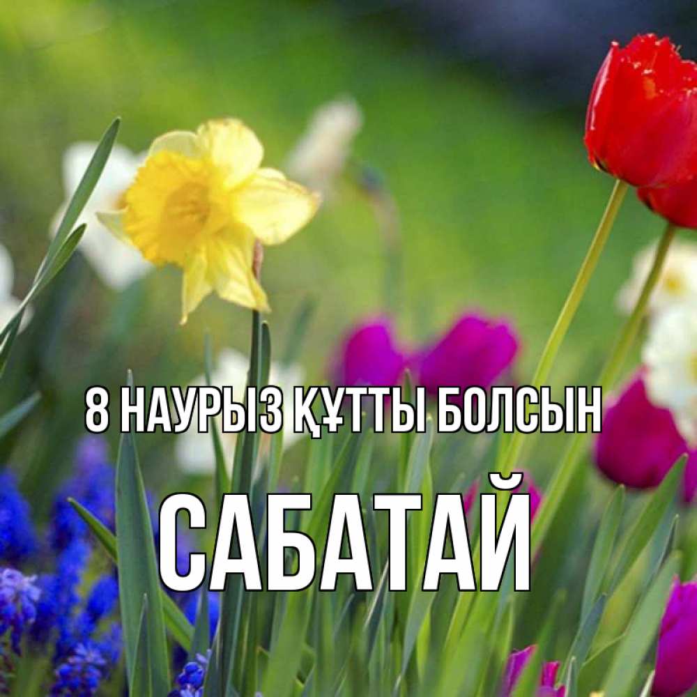 Күн сайын ашық хат с именем, САБАТАЙ 8 наурыз құтты болсын международный женский день 3 Онлайн тегін жүктеп алу тілектері бар керемет карта 