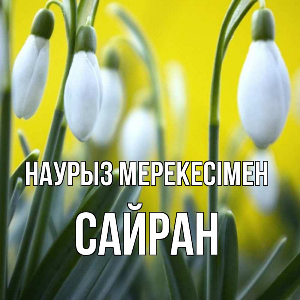 Күн сайын ашық хат с именем, САЙРАН Наурыз мерекесімен весенние цветы Онлайн тегін жүктеп алу тілектері бар керемет карта 